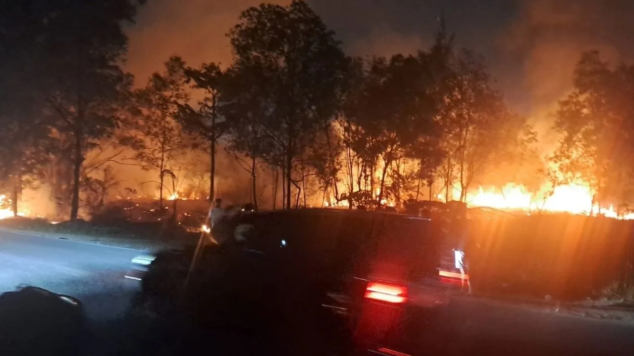 Bakar Sampah Diduga Picu Kebakaran Lahan di Marina City Batam, Polisi Beri Peringatan – Kutipan – Aoftiku News
